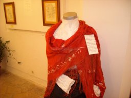 Exposición de indumentaria y costumbres 2009